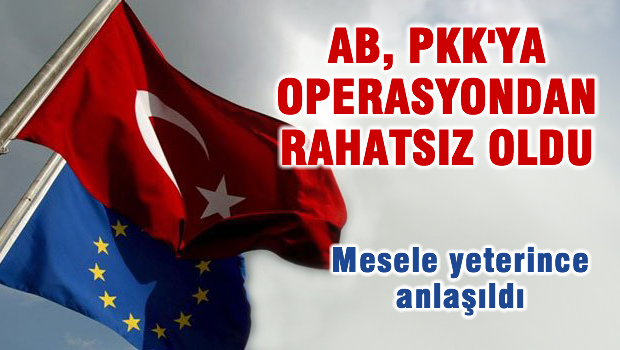 AB, PKK'ya operasyondan rahatsız oldu