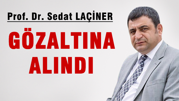 Sedat Laçiner de gözaltında