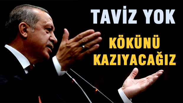 Taviz yok, kökünü kazıyacağız