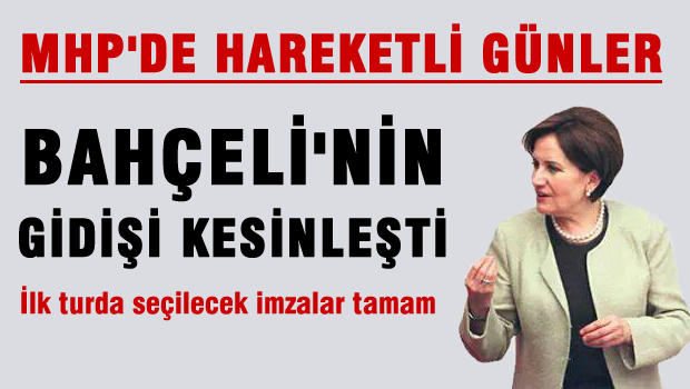 MHP'de hareketli günler