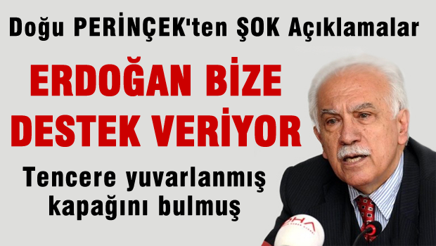 Perinçek: Operasyonları Başlatan Biziz, Erdoğan Bize Destek Veriyor