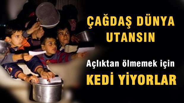 Açlıktan ölmemek için kedi yiyorlar