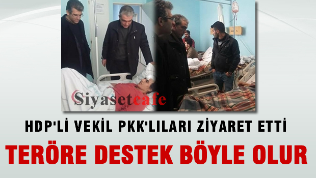 HDP'li vekil PKK'lı teröristleri ziyaret etti