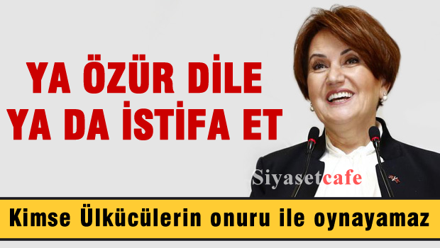 Meral AKŞENER, Ya özür dile, ya da istifa et