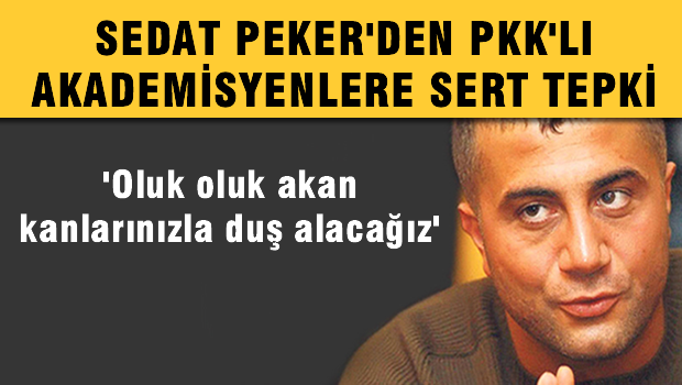 Sedat Peker 'Oluk oluk akan kanlarınızda duş alacağız'
