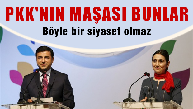 PKK'nın maşası bunlar