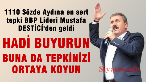 Destici O Aydınlara veryansın etti