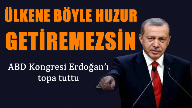 ABD Kongresi Erdoğan'ı topa tuttu