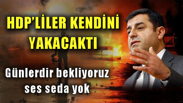 HDP'li vekiller Diyarbakır'da kendilerini yakacaklardı