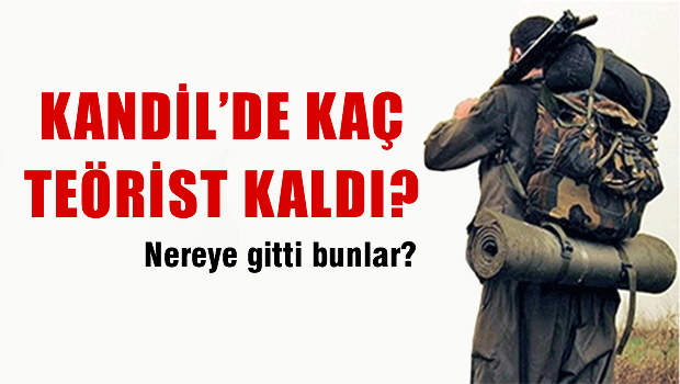 Kandil'de kaç terörist kaldı?