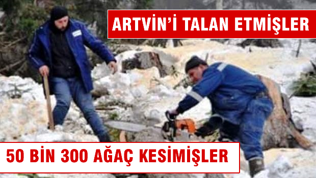 Artvin'de 50 bin 300 ağacın kesileceği ortaya çıktı
