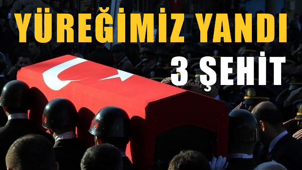 Diyarbakır ve Şırnak'tan acı haber:3 asker şehit