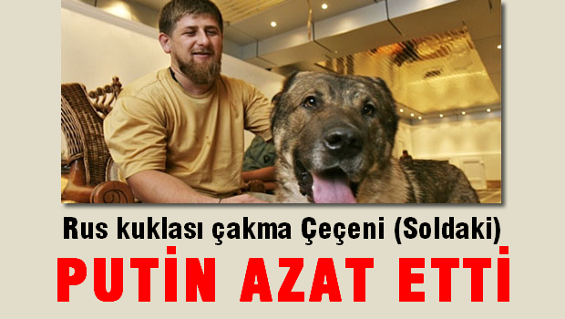 Putin, Kuklası çakma çeçen Kadirov'u azat etti