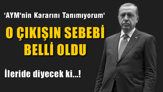 Erdoğan'ın AYM çıkışının asıl sebebi neymiş?