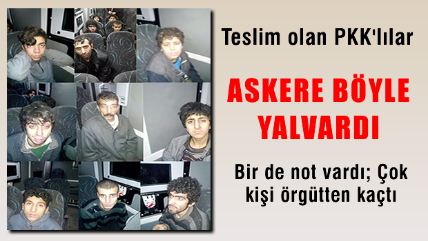 Diyarbakır'da teslim olan PKK'lılar askerlere yalvardı!