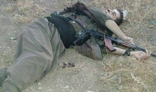 İdil'de 66 terörist etkisiz hale getirildi