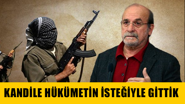 'Hükümetin mesajlarını Kandil'e ulaştırmak için gittik'