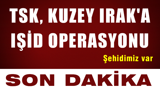 TSK, Kuzey Irak'ta IŞİD'i vuruyor