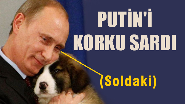 Putin'i Korku Sardı