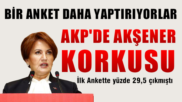 AKP, Meral Akşener için anket yaptıracak