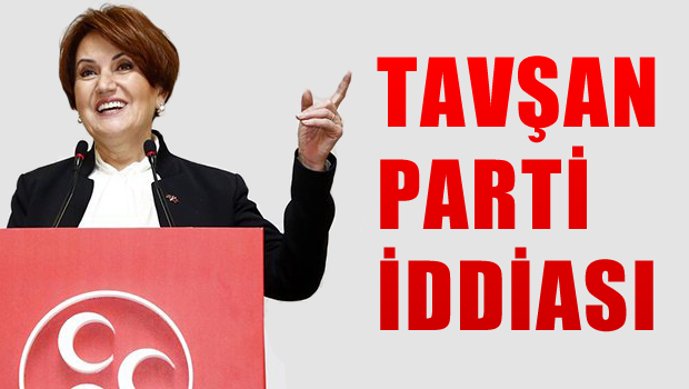 MHP olmazsa tavşan parti mi?