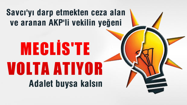 AKP'li vekilin aranan yeğeni Meclis'te volta atıyor!