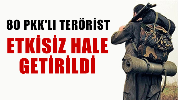 80 PKK'lı terörist etkisiz hale getirildi