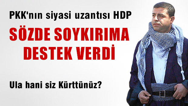 Demirtaş sözde soykırım kararına destek verdi