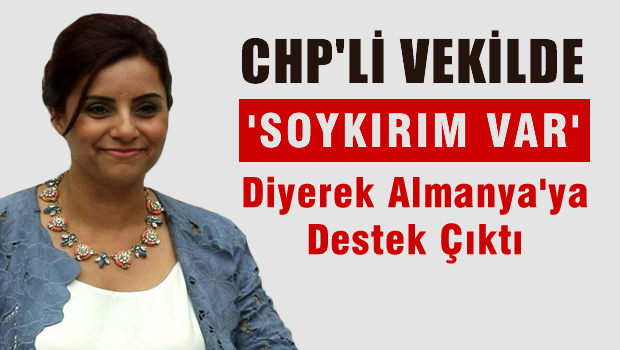 CHP'li Doğan, Almanya'nın 'SOYKIRIM' kararına destek verdi!