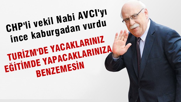 CHP'li Vekil'den Avcı'ya: Kültür ve turizm'de yapacaklarınız eğitimde yaptıklarınıza benzemesin