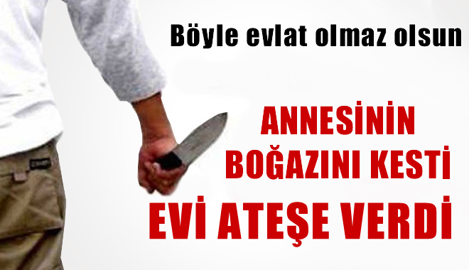 Annesini Öldürdüğü İddia Edilen Şüpheli Gözaltına Alındı