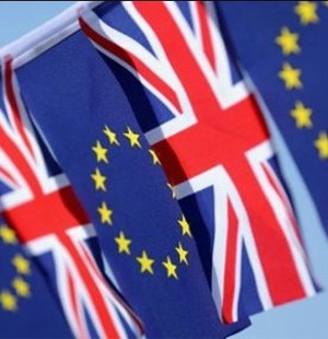 İngilizce resmi dillerden çıkıyor