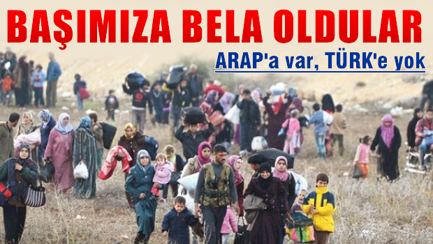 Türk Vatandaşlığı; Araplara var, Türklere yok