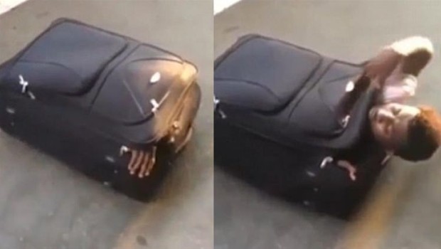 Polis valizden çıkanı görünce şok oldu!