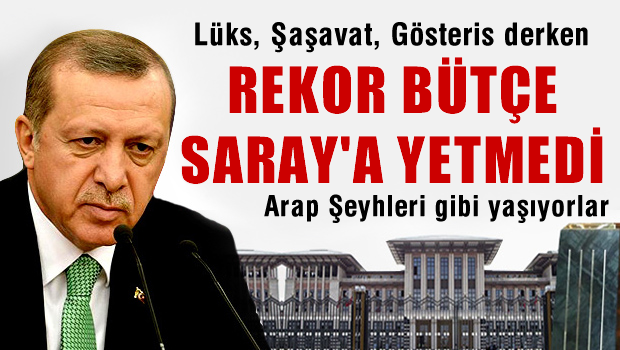 Rekor bütçe Saray'a yine yetmedi