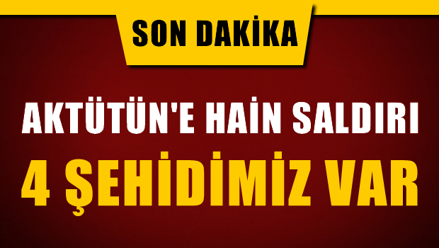 Aktütün'de Hain Saldırı: Çok Sayıda Şehidimiz var