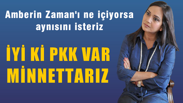 Amberin Zaman'dan tepki çeken Nice tweet'i