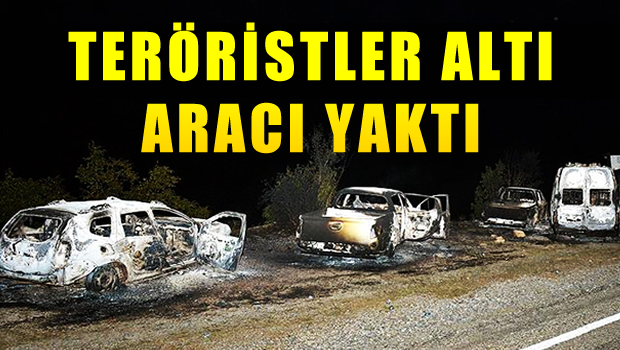 Tunceli'de teröristler 6 aracı yaktı