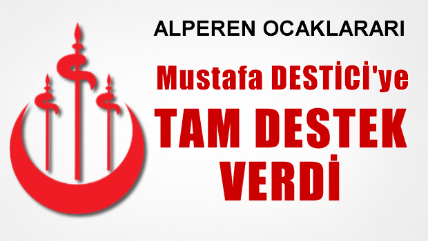 Alperen Ocakları Destici'ye tam destek verdi
