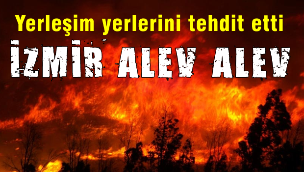 İzmir'de büyük orman yangını!