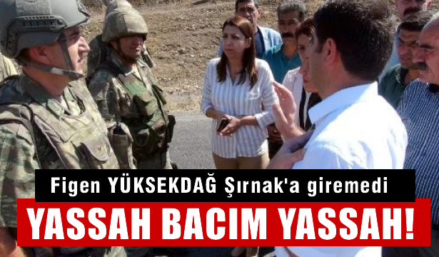Arkasını PKK ve PYD'ye dayayan Figen Yüksekdağ Şırnak'a alınmadı!