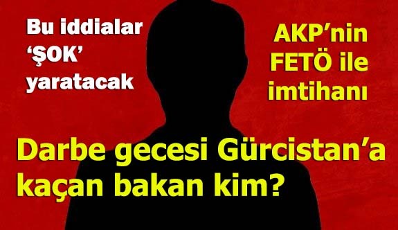 Darbe gecesi Gürcistan'a kaçan bakan kim?