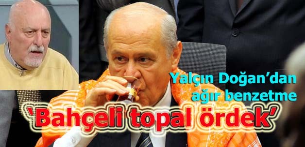 'Bahçeli topal ördek'