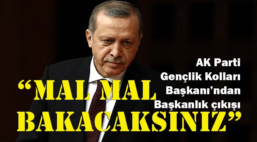 'Mal mal bakacaksınız'
