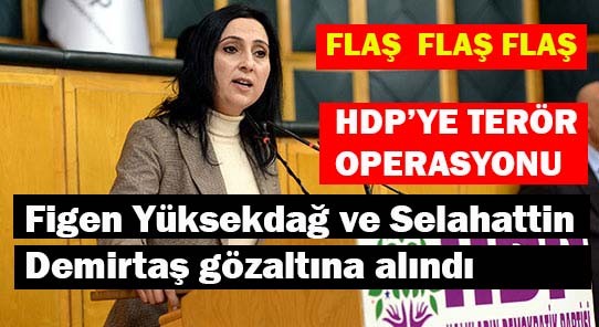 Selahattin Demirtaş ve Figen Yüksekdağ gözaltında