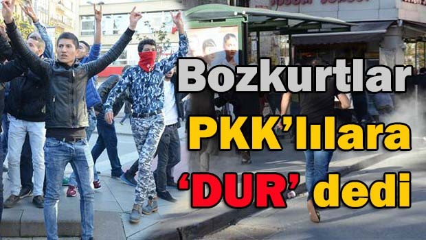 Bozkurtlar 'dur' dedi