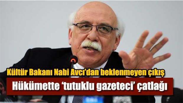 Hükümette 'tutuklu gazeteci' çatlağı