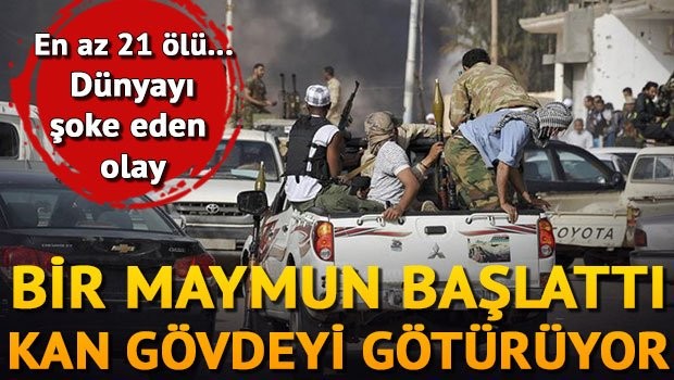 Maymun başlattı, ortalık kan gölüne döndü