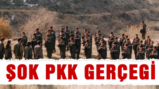 ŞOK, PKK gerçeği