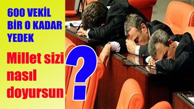 Bu millet sizi nasıl doyursun?